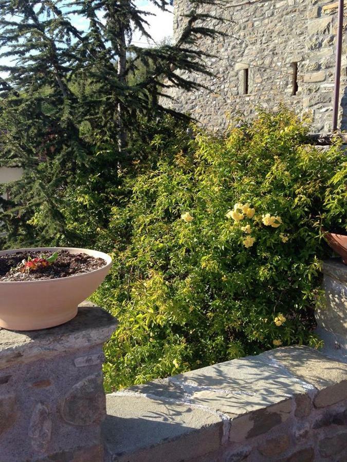 Mini Appartamenti Nonna Nella Barbarasco Bagian luar foto